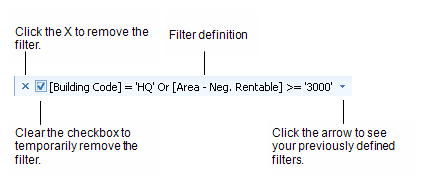 filter definition shown at the bottom of the grid with callouts showing the X to remove the filter and the check box to temporarily remove it